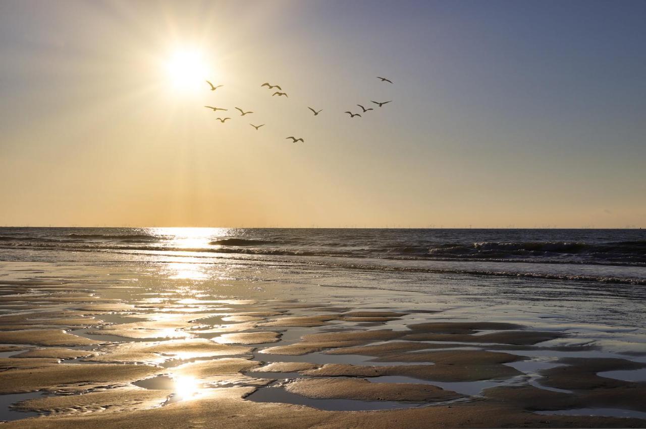 Westerschelde Bed & Breakfast *