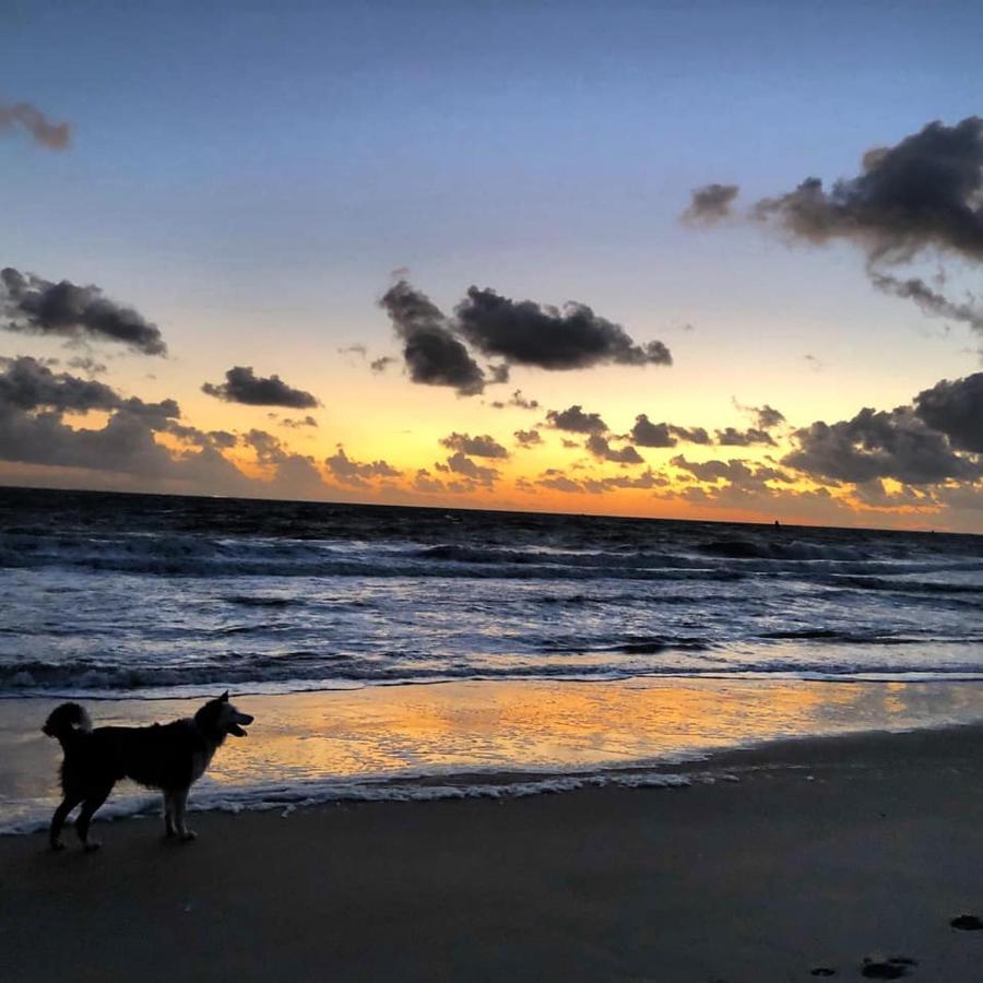 Westerschelde Bed & Breakfast Vlissingen